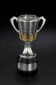 1. Geelong Cats Mood Shot - AFL Replica Premiership Cup